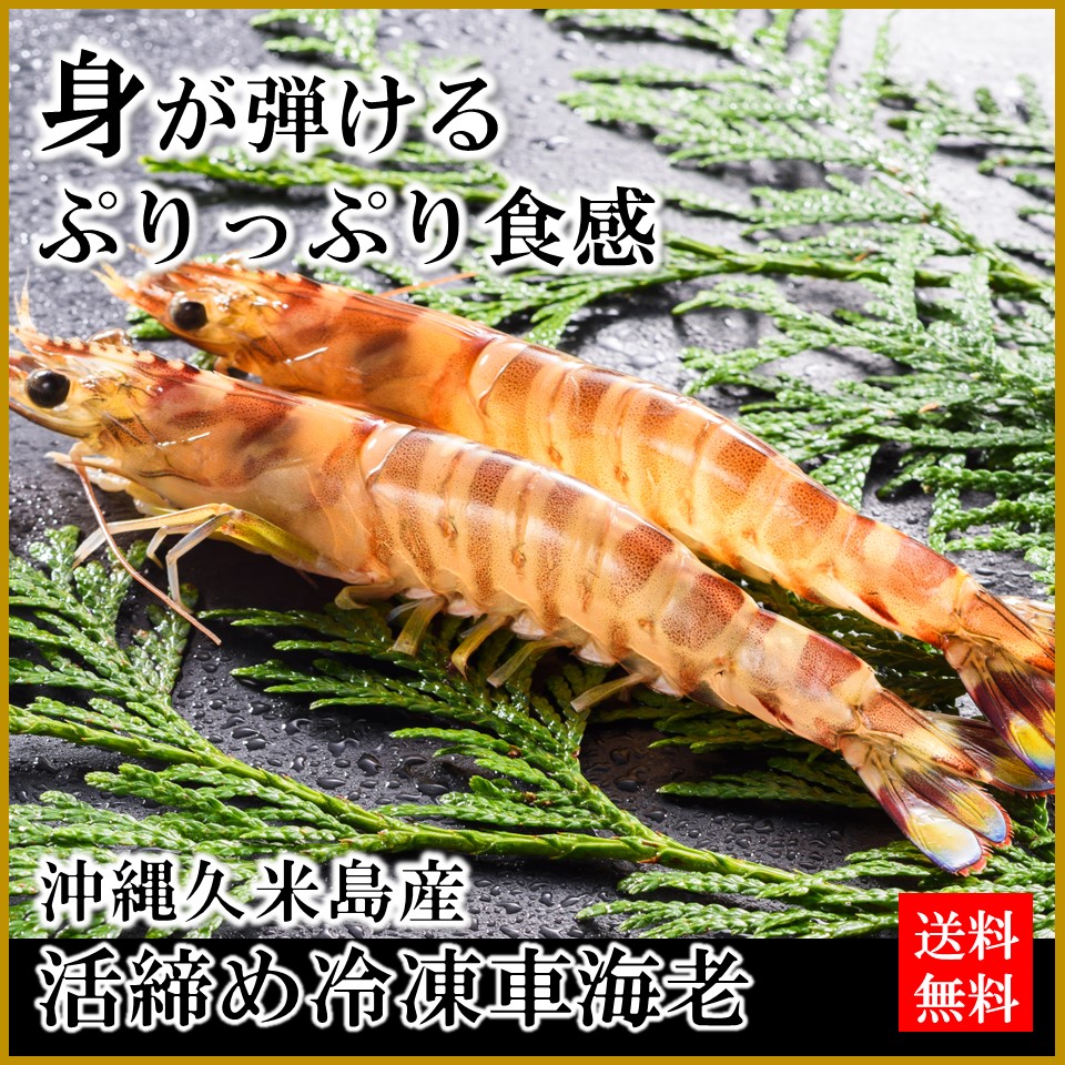沖縄久米島産の冷凍車海老を通販で｜ 鮮度抜群の高級車海老をお届けし